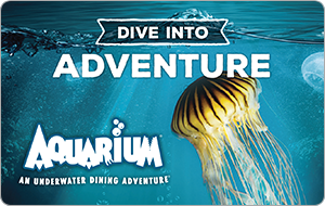 Aquarium logo